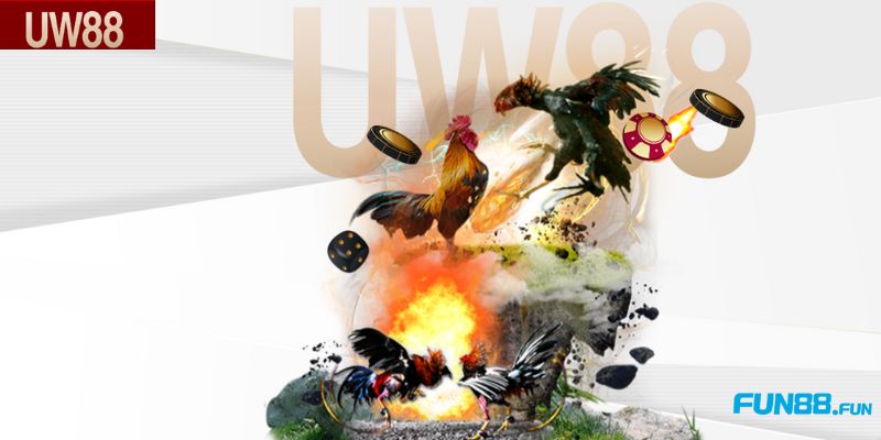 Nhà cái Uw88 - Top 5 trang web cá cược đá gà uy tín