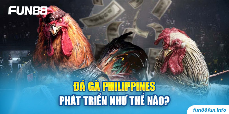Đá gà Philippines phát triển như thế nào?