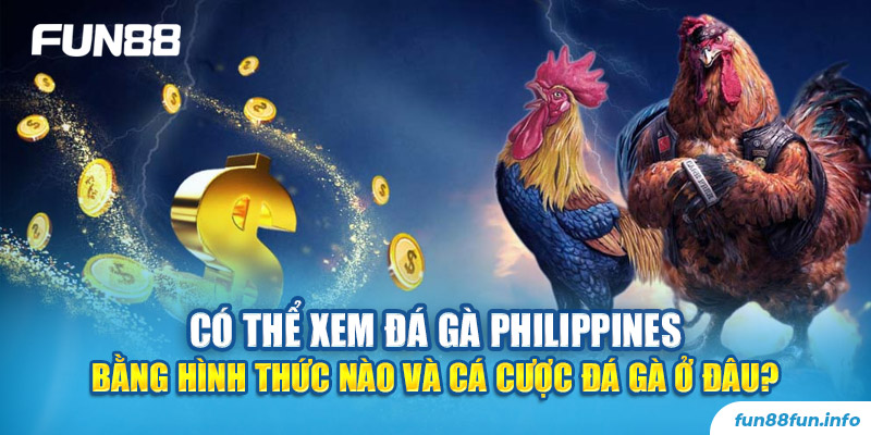 Có thể xem đá gà Philippines bằng hình thức nào và cá cược đá gà ở đâu?